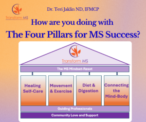 Four Pillars for MS success